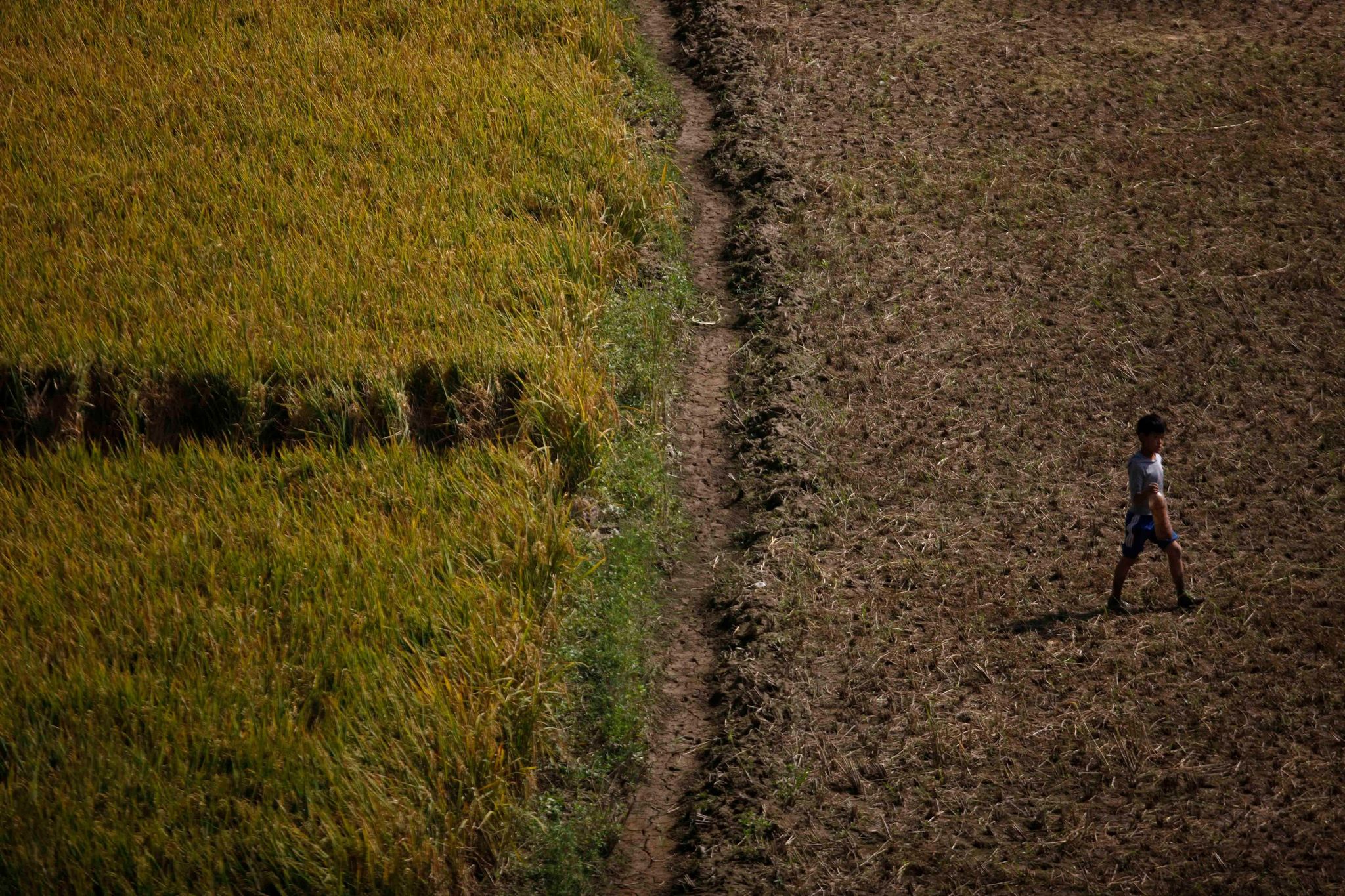 Nepal less and less able to feed itself